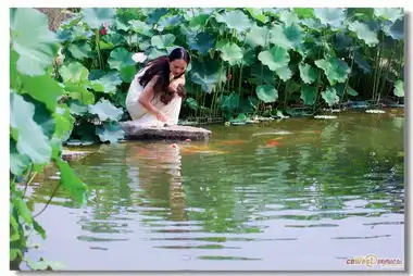 大唐芙蓉园赏花季荷花映日美女来