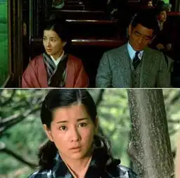 日本国宝演员吉永小百合72岁生日快乐张国荣是她的粉丝,连金正日也为她的美折服