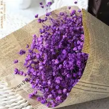 青年视听十六游斗南花市一日游