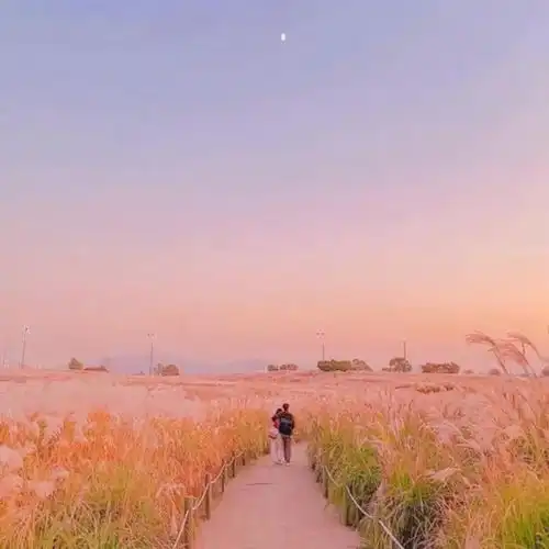 8句温柔干净的情感句子,感受不到爱意的时候,记得全身而退