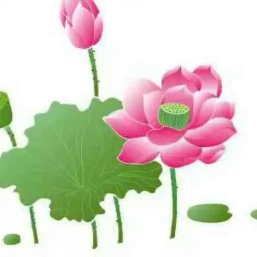 游客跳下水坝游泳溺水,2小伙逆流潜水救人,被救者抢救无效死亡