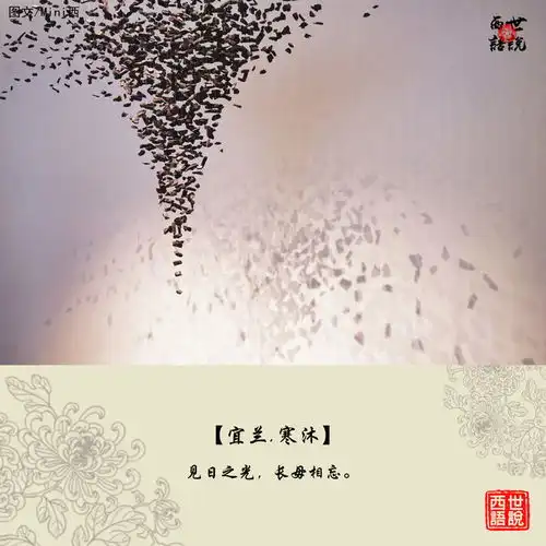只需4天的台湾小众玩法出海赏海豚,泡火山温泉,还有几米童话世界和手作
