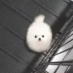 若不是那次夜空