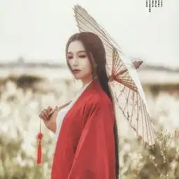 歌单网易云音乐