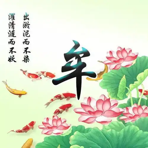 50个姓氏微信头像,佛系小沙弥头像分享给大家,快来带走换上吧