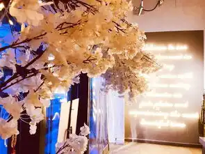 五棵松轻食主义网红店,99元抢原价270元,轻奢双人餐大虾凯撒沙拉鸡排粉色少女意面提拉米苏
