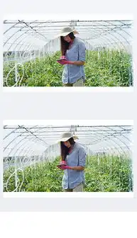 产物图片素材产物图片素材下载产物背景素材产物模板下载我图网