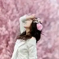 带有樱花的女生头像