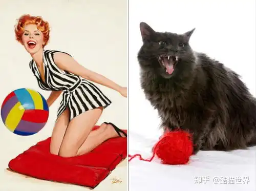 当猫咪cos插画上的性感女郎