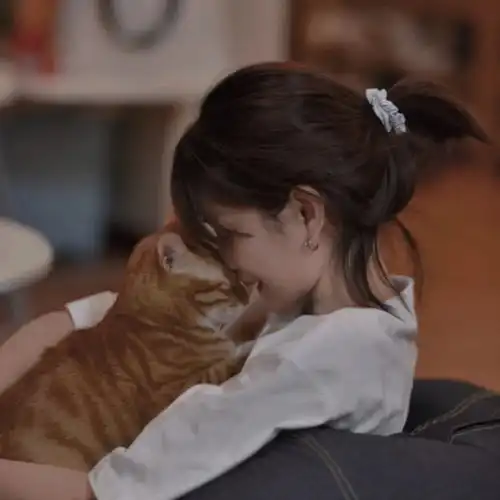 仙女头像丨车水马龙,别离无依