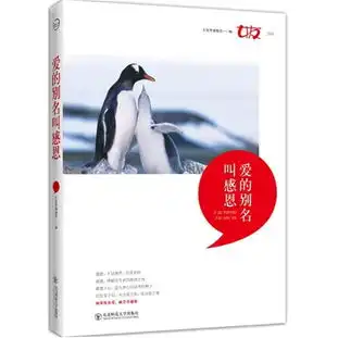 爱的别名叫感恩