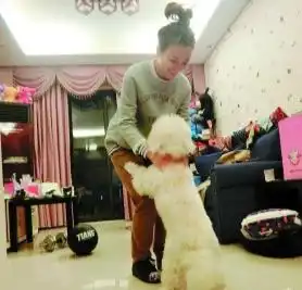 揭女星闺房林志玲香闺清新范冰冰房间走女王风组图
