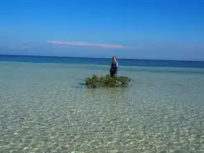 旅行是一种人生态度薄荷巴里卡萨宿务马六甲吉隆坡两国行菲律宾游记