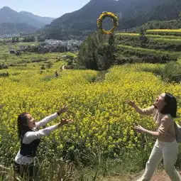 春风十里,不如走起合壹汇合伙人踏青活动圆满结束