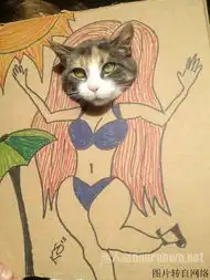 跟着一个有创意的二货主人是喵星人的伤