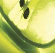 自然雅舍thenaturalhouse水果沐浴露柠檬美肌