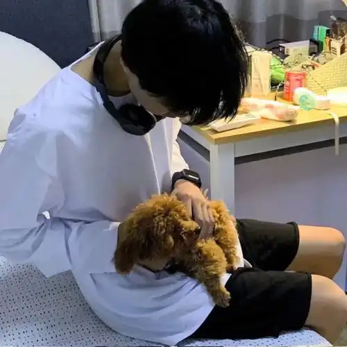 女生真人好看头像不露脸