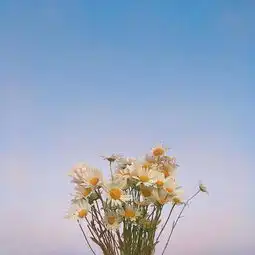 更一波背景图下角已阅