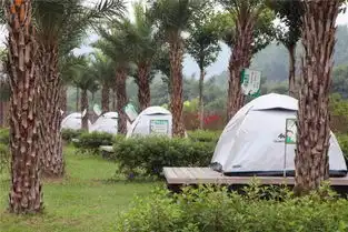 在长宁奇遇最惊艳的花海,免费游玩之旅等你来
