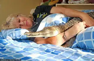 人与猛兽和谐相处的亲密瞬间