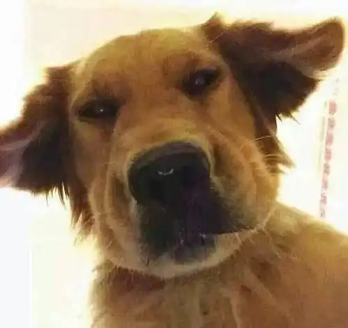 有哪些好看的情侣头像