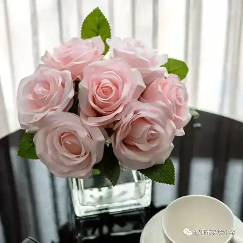 家长课程绿植与鲜花