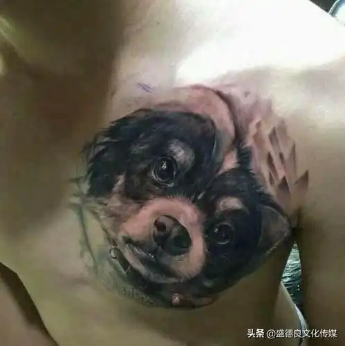 头像女生宠物男生