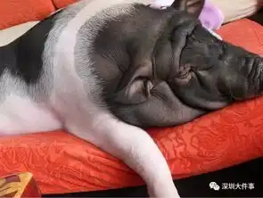 5月14日母亲节当天19岁女孩天台坠亡