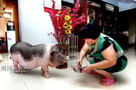 9日焦点图轿车飞撞交通指示牌等