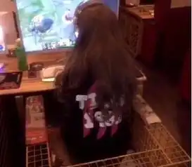 金毛打扮成女孩去网吧,一看就是背影杀手,太美了