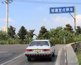 为啥考c1驾照的人越来越多老司机等到4月份你就清楚了