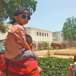 6岁以下儿童最好别戴太阳镜