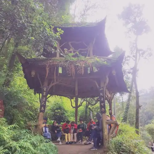 仙气飘飘的女生专属头像