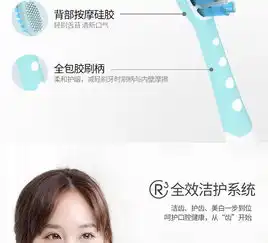 罗曼r6声波震动电动牙刷送自己男女朋友客户礼物r6声波震动牙刷
