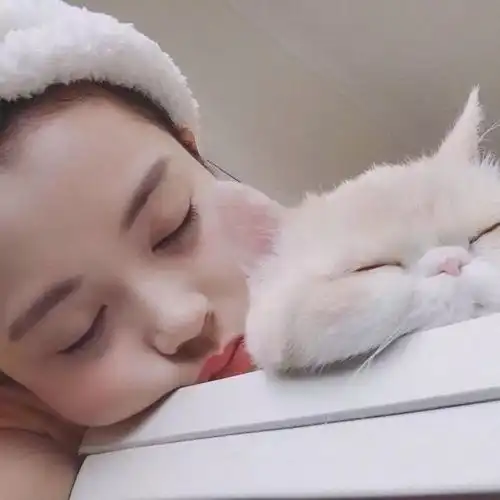 不上镜的普通人,也能拍出美照