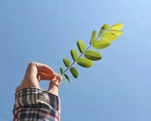 女人专用微信头像山水好