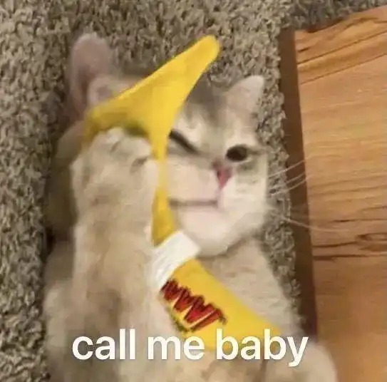 e句话看天下轮椅女孩和闺蜜互助9年齐考上大学,神仙友谊