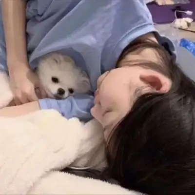 ins风超可爱女生头像