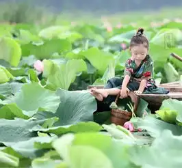 美醉了,妈妈把女儿拍成荷花仙子