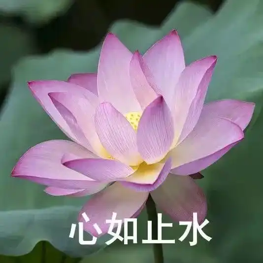 想开了,甚荷我意