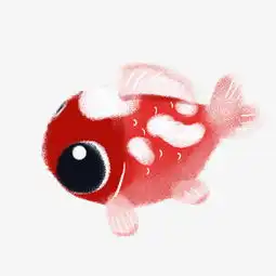 大眼睛红锦鱼插画图片素材其他格式下载动漫人物大全