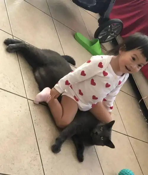 搞笑gif图段子这是什么操作女生们的打底裤都是这样的吗