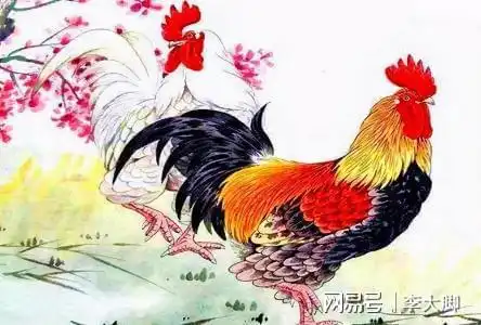 生肖鸡头像霸气