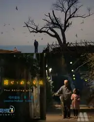 路灯下的小女孩shininggirl