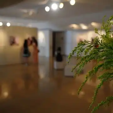 我的收藏