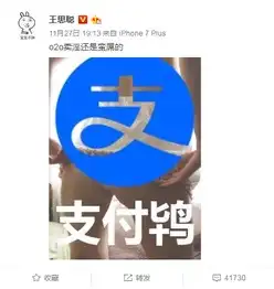 芝麻分750就是王思聪姑娘们,醒醒吧