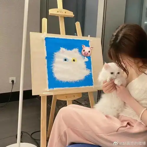 赵露思晒居家做饭照,首次公开豪宅内景,厨具高档,客厅视野也好