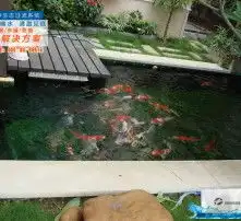 黄页88高清图片