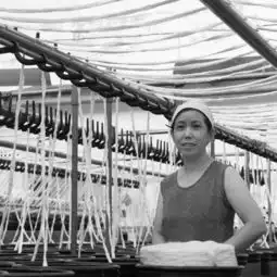 纺织女工专辑第6页布衣丁