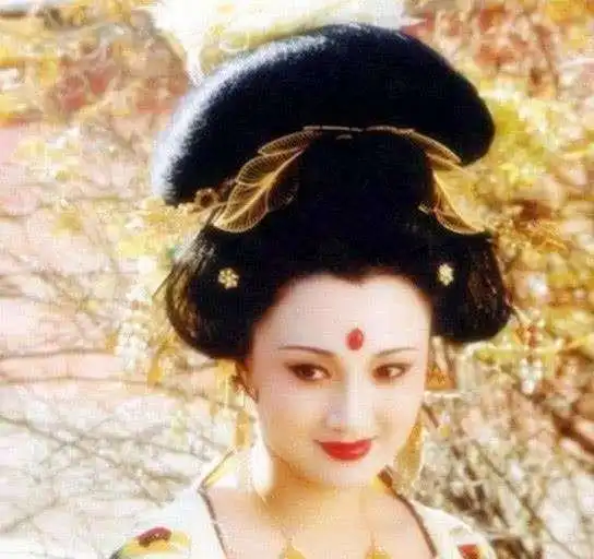 六宫粉黛无颜色,杨贵妃是个大胖子唐玄宗的口味可没有这么重